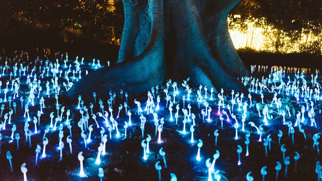 イルミネーション